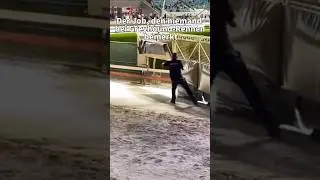 Der Job, den niemand bei Greyhound-Rennen bemerkt 🐕🏁 #GreyhoundRacing #HinterDenKulissen