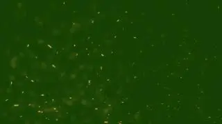 particles after effects overlay || Green Screen Particles || Particles Green Screen
