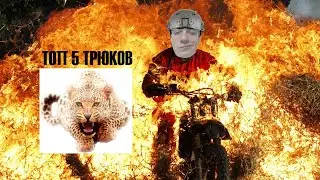 Топ 5 трюков! Такого вы никогда не видели !