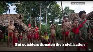 Picture This: Amazon uncontacted tribe