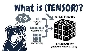 C Image Loader to Tensor in C | Load, Resize & Normalize Images