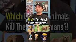 Which Of These Animals Kill The Most Humans?! #shorts #animals #facts #dog #pets
