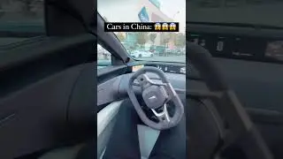 Tesla VS Chinese EV