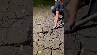 Este chico encontró una serpiente dentro de la tierra 😰