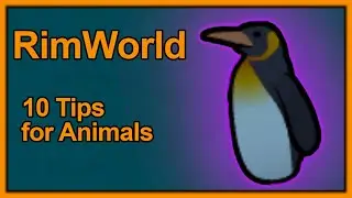 [𝗥𝖎𝖒𝗪𝛐𝗿𝐥𝗱] 10 Tips for Animals
