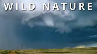 WILD NATURE | Natural places that Don’t seem real