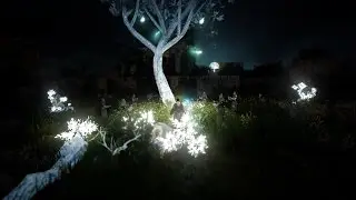 Black Desert TW - Test graphic ( high-end mode ) - midnight