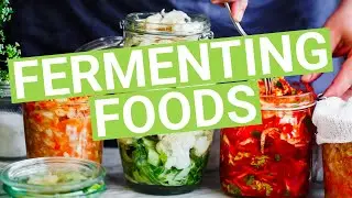 The Science of Fermenting Foods: Healthy Eating