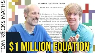 Yang Mills Mass Gap Hypothesis with Martin Hairer (2014 Fields Medal)
