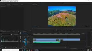 How to delete Audio of all clips? (Adobe Premiere Pro, Delete Track)