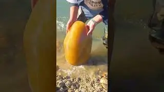 This boy found an incredible stone in the sea 👏