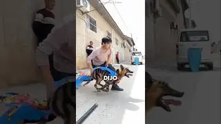 ¡El perro que sorprendió al ejército! 😱#shorts