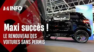 Les voitures sans-permis sont devenues des stars