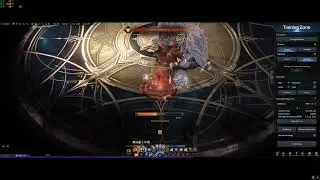 Lost Ark Summoner build ( stat : AGI + CRIT )