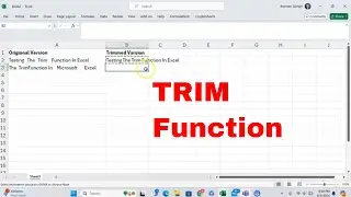How to Use the TRIM Function in Microsoft Excel! Remove Extra Spaces in Text! 