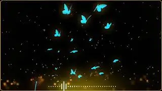 Black Screen Butterfly Colour light Effects download / Kine Master background video Editing