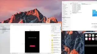 Basic iPhone - Swift 3: Troubleshooting - App Crash Error