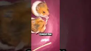 Give it back, no, you give it back