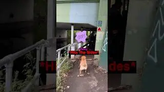 He HAD To Make it Through! 🤣