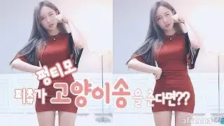 펑티모 
