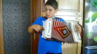 Marco Pavone e il suo organetto