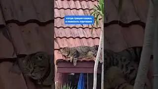 ну бывает конечно