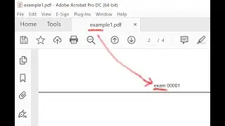 Page stamp part of a filename, text & numbers to pdf pages with PDF Page Numberer Batch