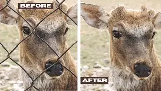 How To Remove Fence in Photoshop YouTube