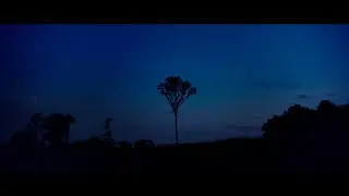 Hello Hurricane - Gone [Official Music Video]