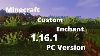 Minecraft Custom Enchant 1.16.1 version