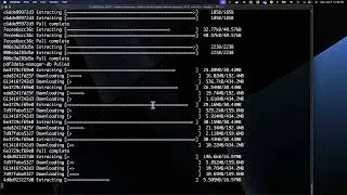 Installing the pdf2Data Editor and Manager Components Using Docker