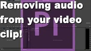 How to remove audio from your clip on the timeline in Adobe Premiere Pro