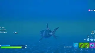 Derponce using a glitch, lol, I turned into a shark.