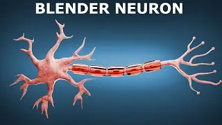 Blender: Make A Neuron In Blender | Tutorial