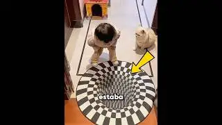 The cat fell for the illusion 😭❤️ 