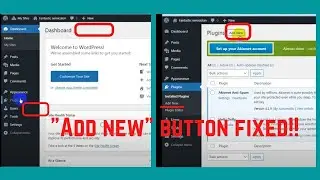 How to fix add new plugin button is not showing in wordpress