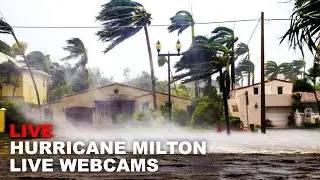 Hurricane Milton 2024 Live Stream - Hurricane Milton Live Cams