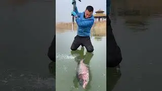 Este hombre salva la vida de un pez congelado 👏