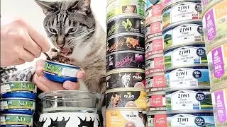 cat eats blueberries 🫐 New Zealand lamb cat food Farmina Pet Foods (Italy)