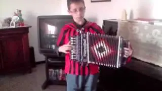 Mattia Temperini all'organetto