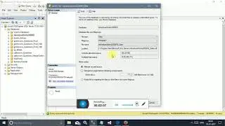 SQL Server Find free space within Database files