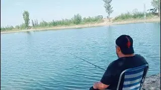#fishing