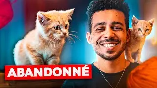 J'AI RECUEILLI UN PETIT CHATON (Il est trop mignon)