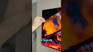 Non rimuovere mai questo strato dal tuo nuovo televisore !