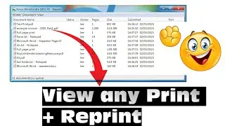 View any print waiting on the actual printer as a pdf, Reprint to another printer