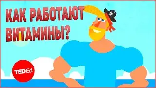 Как работают витамины? | TED-Ed