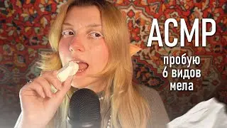 АСМР 😮 в первый раз пробую мел // ASMR eating chalk ✨ beatrisius asmr