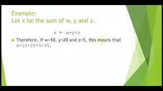 (1) Pseudocode (Commands and assignments)