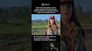 #peliculas