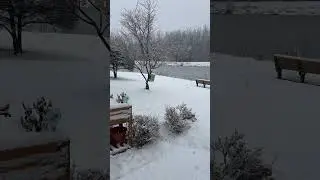 Snow ❄️ storm  